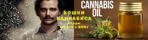 гидра Володарск