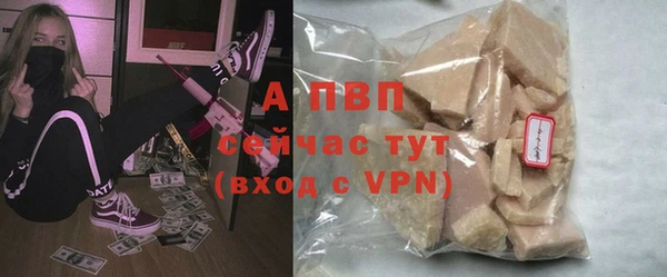 гидра Володарск