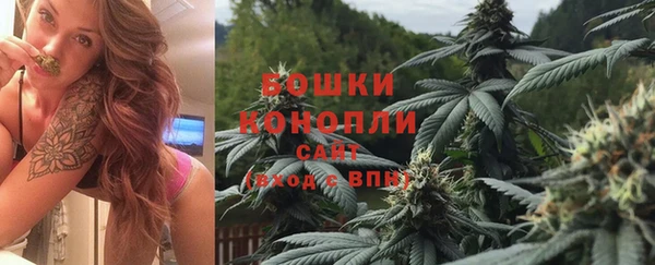 гидра Володарск