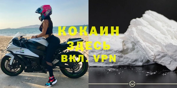 стаф Осташков