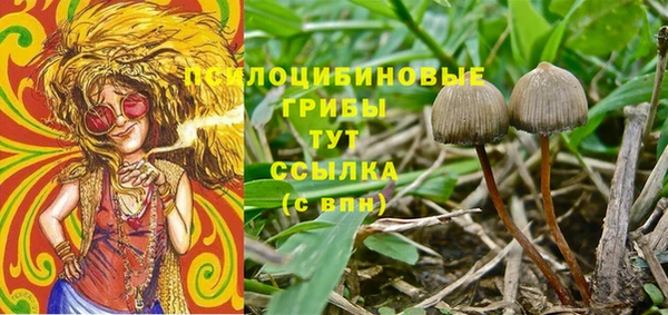 гидра Володарск
